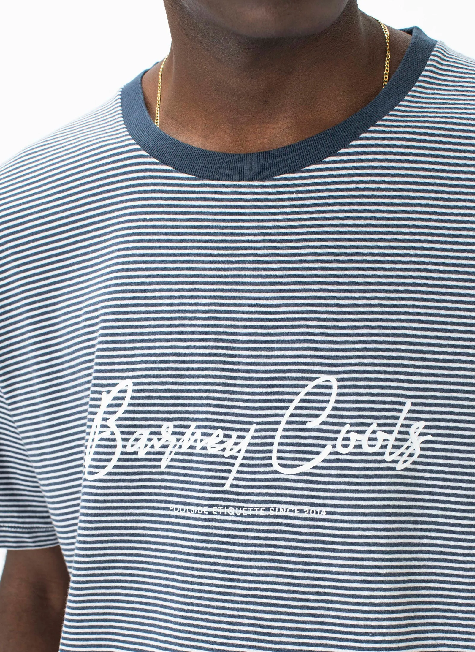 Barney Cools Script Tee Slate Stripe