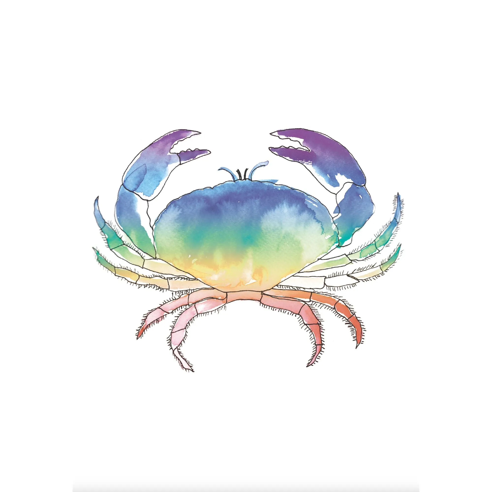 Chromatic Crab - Watercolour Print