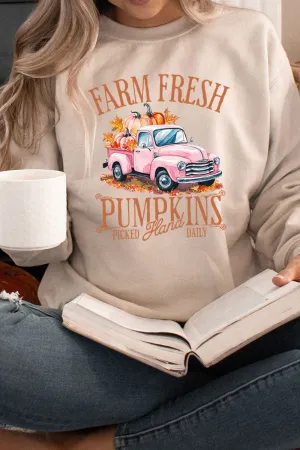 Farm Fresh Pink Pumpkins Heavy-weight Crew Sweatshirt