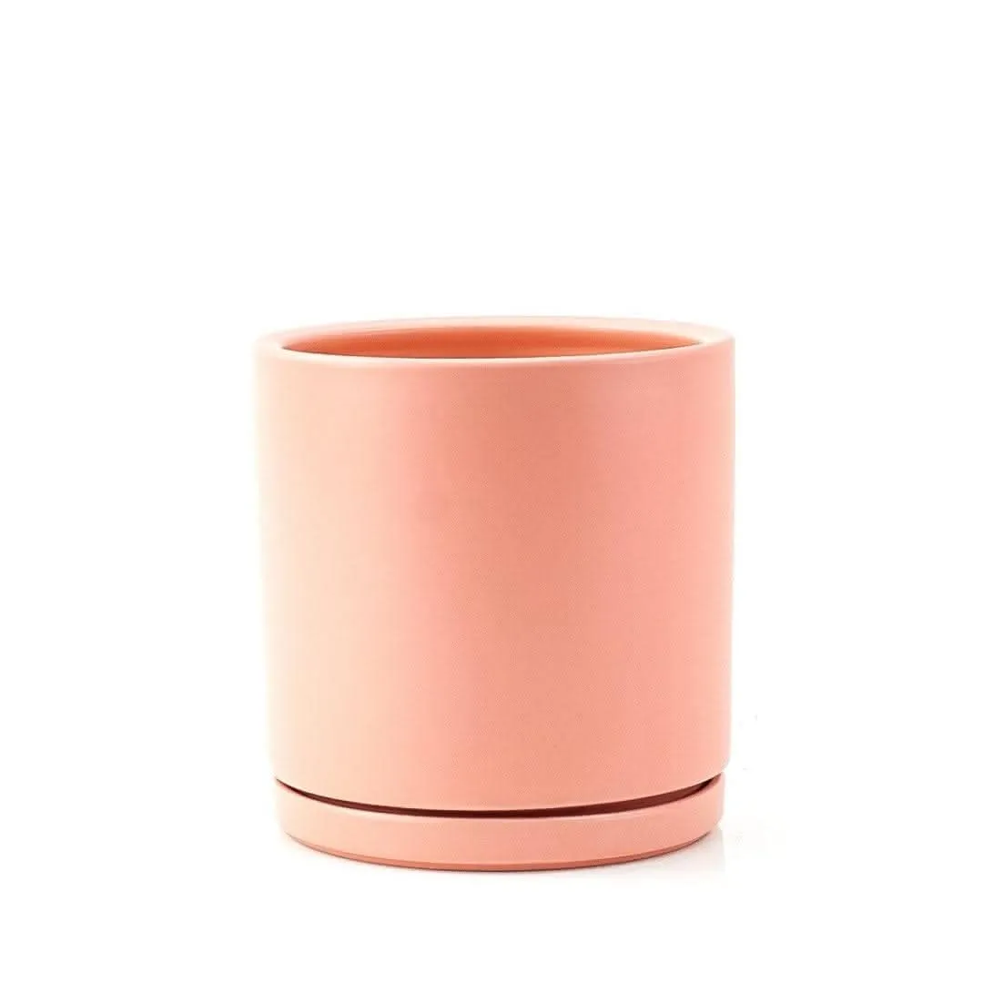 Momma Pots Pastel Gemstone Cylinder