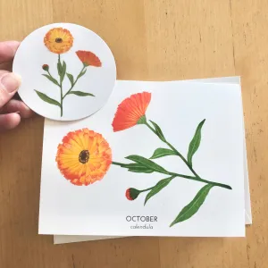 October Birth Flower Calendula Watercolor Greeting Card   Sticker