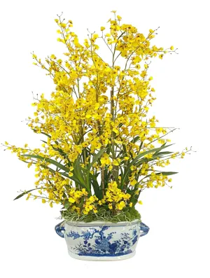 ONCIDIUM IN CERAMIC POT WITH HANDLE 43"