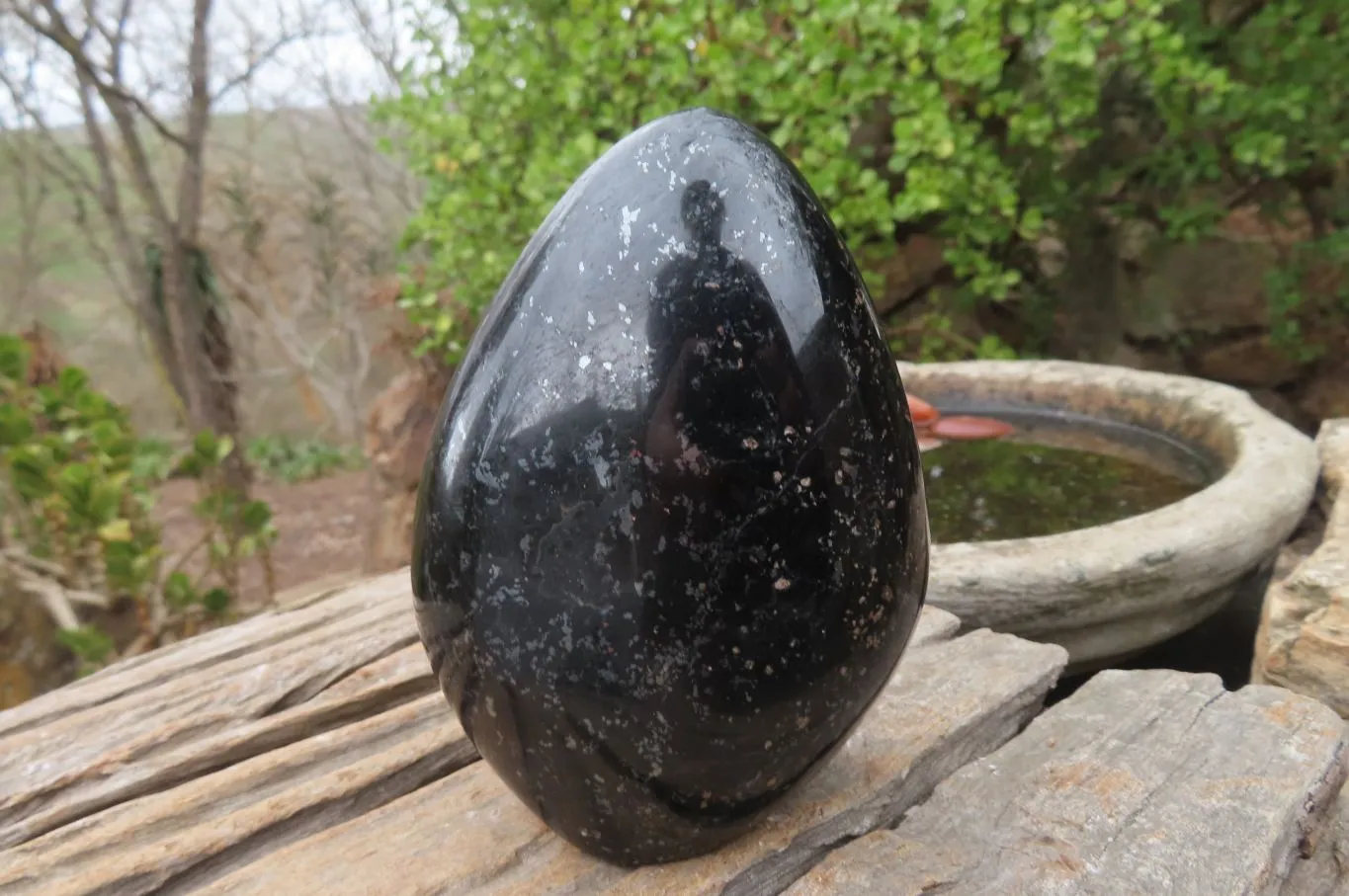 Polished Black Tourmaline Standing Free Form x 2 From Madagascar