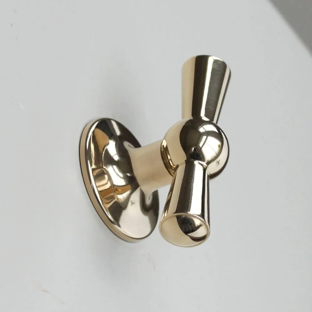 Polished Brass Crossed Cabinet Knob