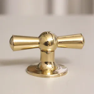 Polished Brass Crossed Cabinet Knob