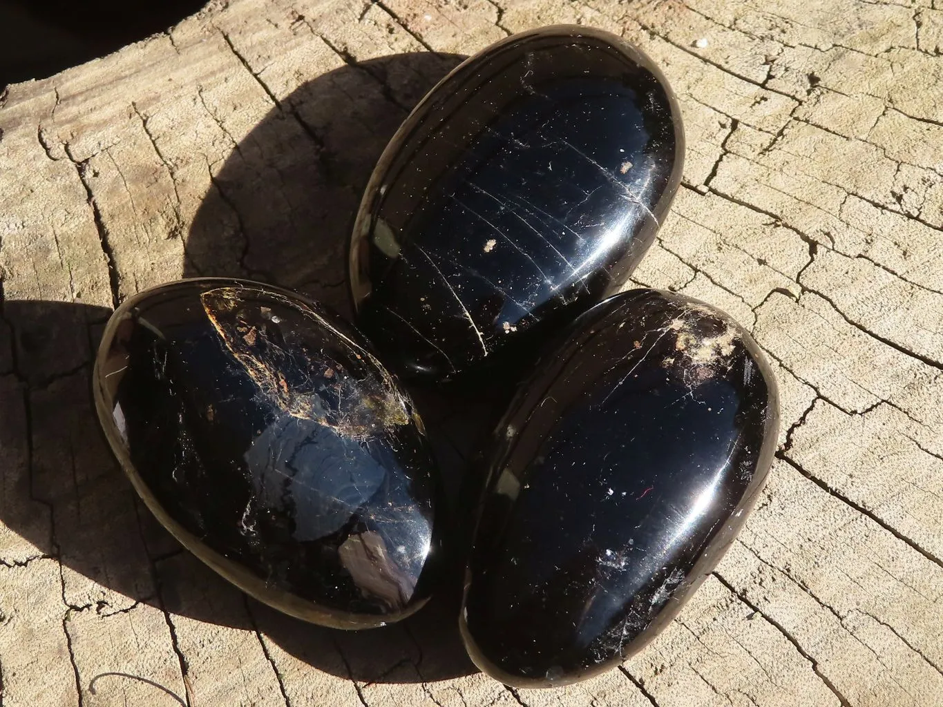 Polished Schorl Black Tourmaline Galet / Palm Stones x 24 From Madagascar