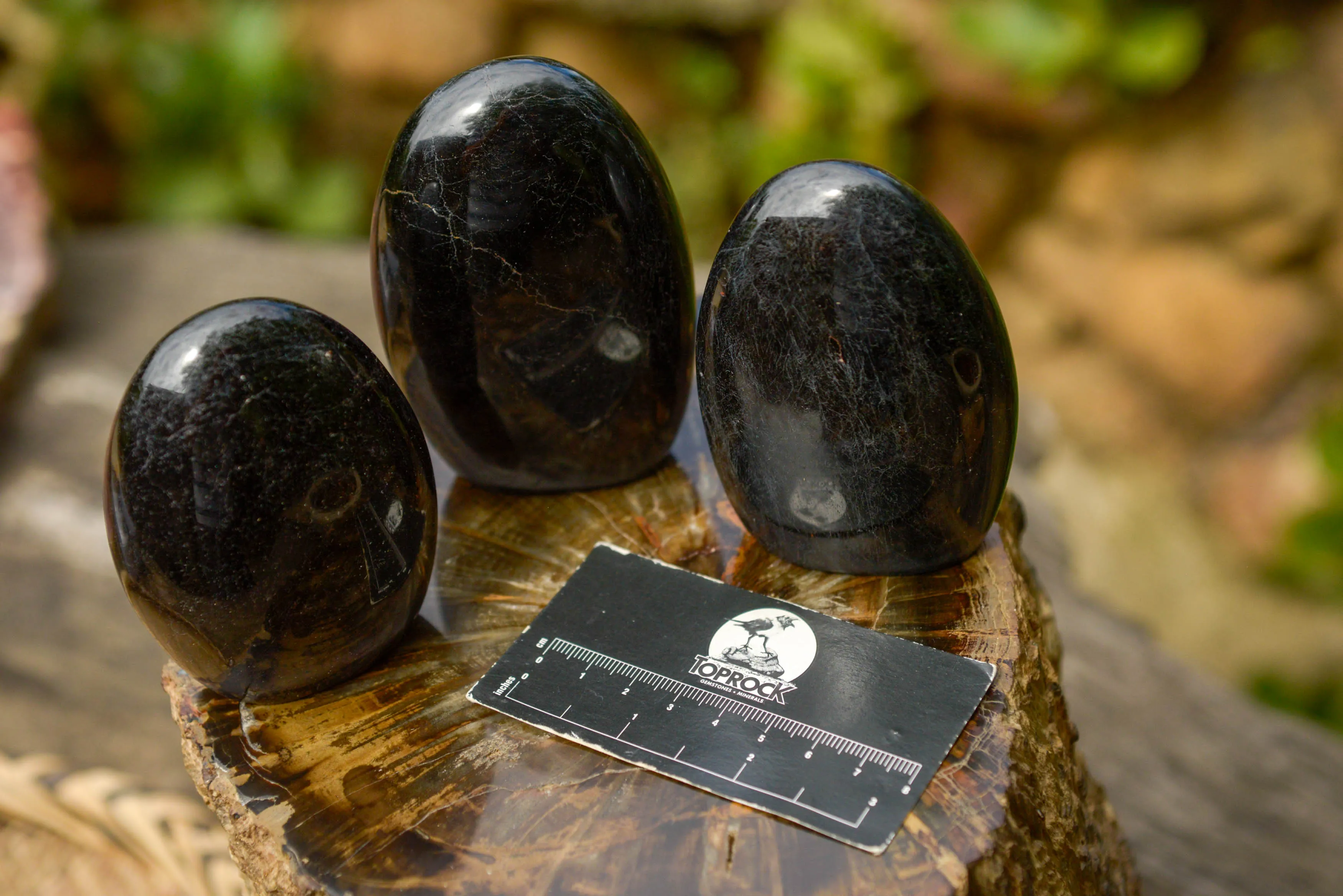 Polished Schorl Black Tourmaline Standing Free Forms x 6 From Madagascar