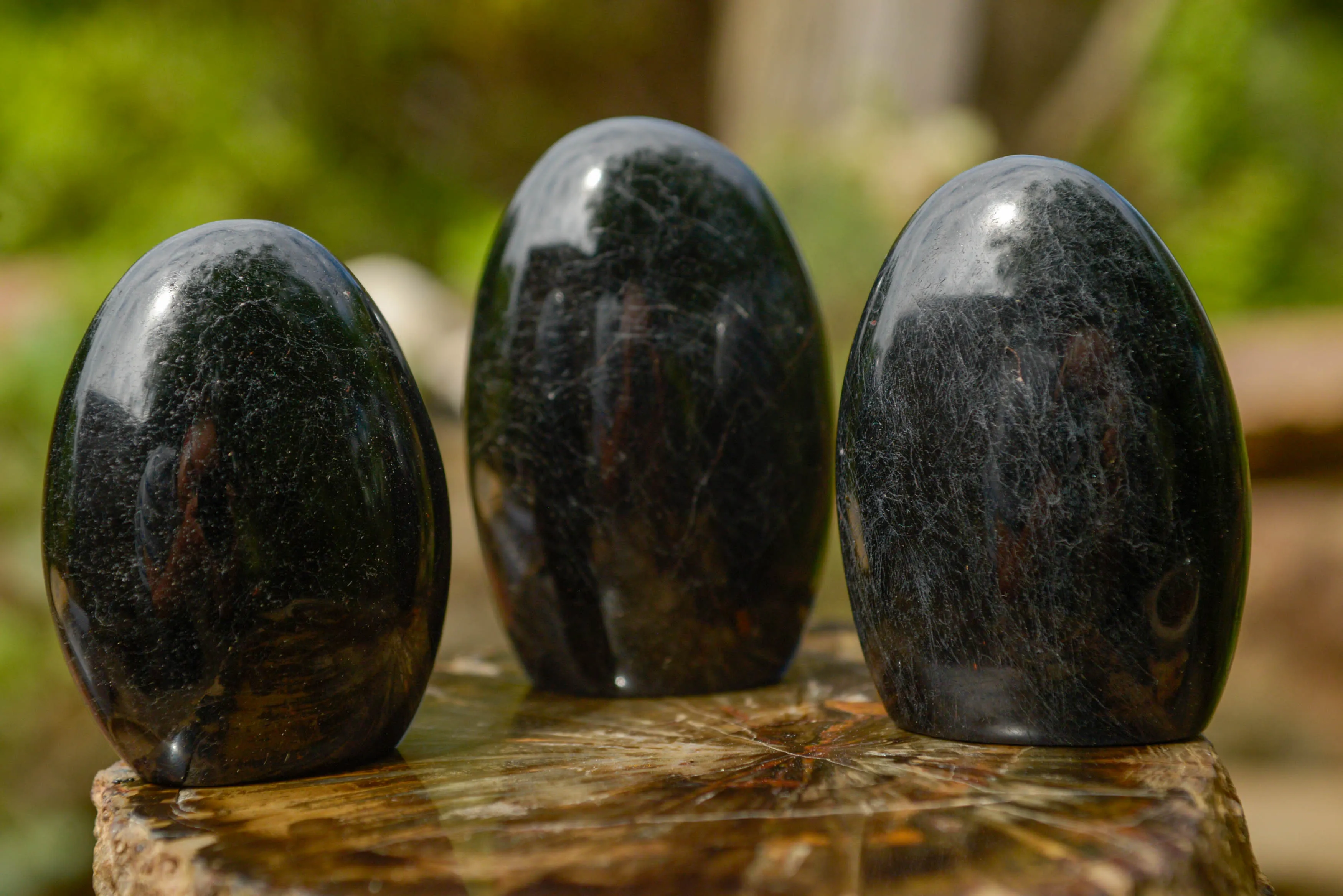 Polished Schorl Black Tourmaline Standing Free Forms x 6 From Madagascar