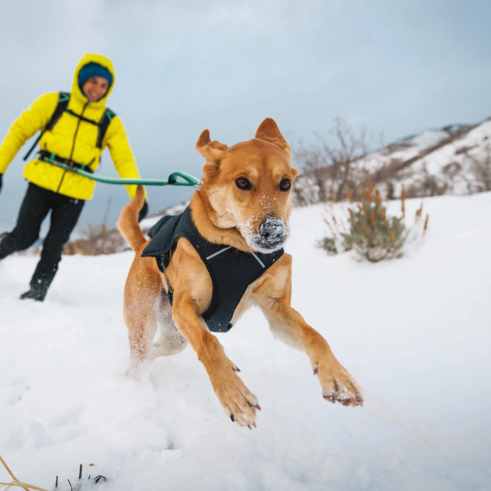 RuffWear Quinzee Jacket for Dogs