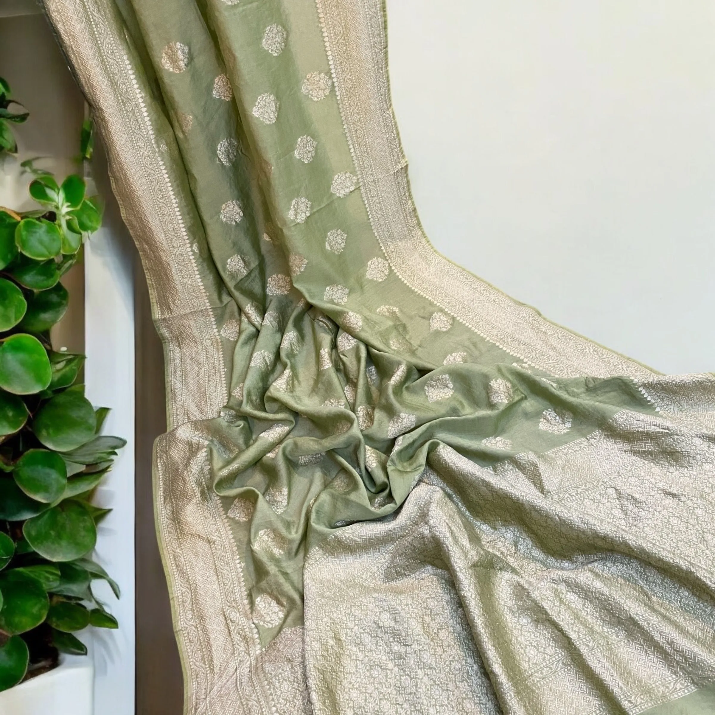 The Pastel Green Handloom Pure Moonga Silk Banarasi Saree